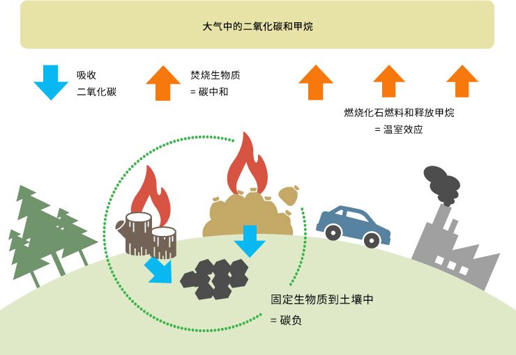 全球碳循环（简单图解）