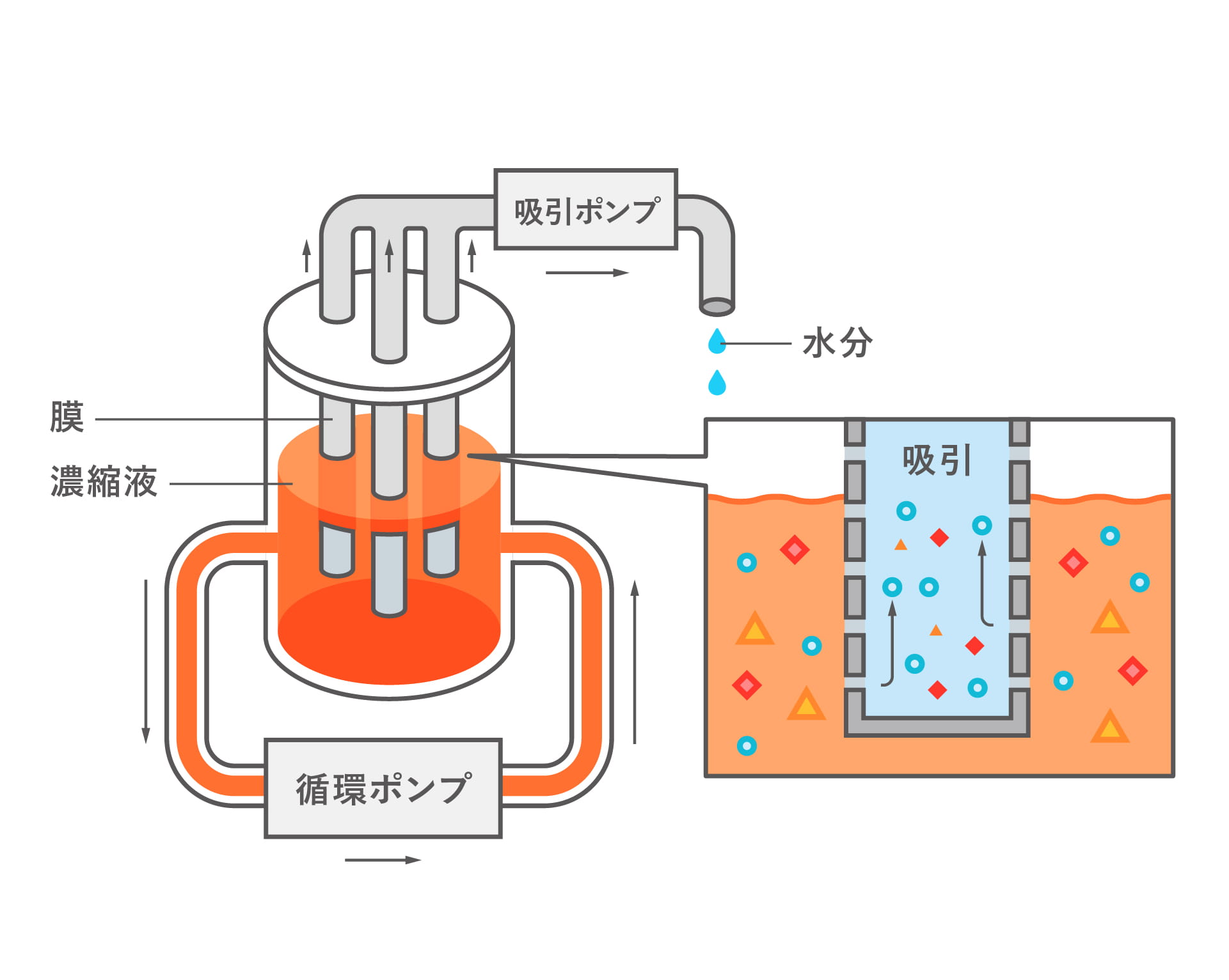 界面前進凍結濃縮（Progreesive Freeze-Concentration）