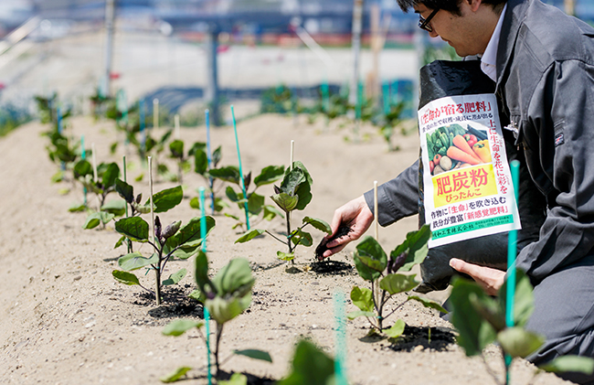 Biochar fertilizer(Lifechar) Pittanko